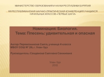 Презентация к исследовательской работе ученицы 4 класса Плесень: удивительная и опасная