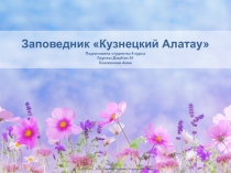 Презентация Заповедник Кузнецкий Алатау