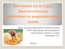 Презентация к уроку Бахчевые культуры