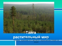 Презентация по развитию речи Тайга.Растительный мир