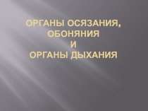 Презентация по физической культуре на тему Органы чувств.Осязание, дыхание и обоняние(1-4 класс)