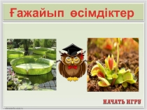 Презентация по биологии. Ғажайып өсімдіктер