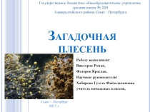 Презентация исследовательской работы на тему Загадочная плесень