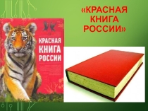 Презентация Красная книга России