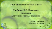 Презентация к уроку Плесневые грибы и дрожжи