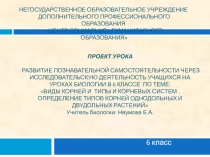 Презентация ВИДЫ КОРНЕЙ И ТИПЫ И КОРНЕВЫХ СИСТЕМ .ОПРЕДЕЛЕНИЕ ТИПОВ КОРНЕЙ ОДНОДОЛЬНЫХ И ДВУДОЛЬНЫХ РАСТЕНИЙ
