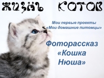 Проектная работа по теме Мои домашние питомцы. Кошка Нюша.