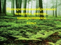 Презентация по биологии на тему Папоротникообразные