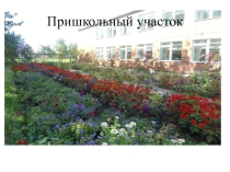 Презентация о пришкольном участке Пришкольный участок