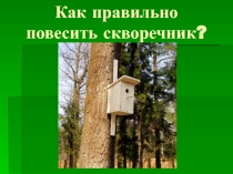 Презентация по биологии Как правильно повесить скворечник 5 класс