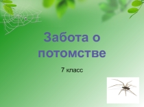 Презентация по Биологии забота о потомстве