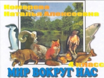 Презентация по окружающему миру Лес-это целый мир