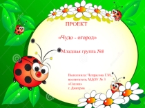 Проект познавательный на тему Чудо огород
