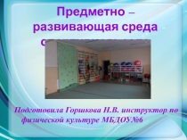 Презентация РППС в спортивном зале ДОУ