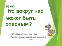 Презентация по окружающему миру Что вокруг нас может быть опасным?