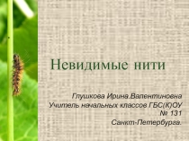 Презентация по окружающему миру Невидимые нити 2 класс