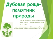 Презентация Дубовая роща-памятник культуры