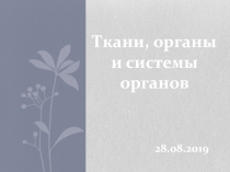 Презентация к уроку биологии 7 класс тема Ткани, органы и системы органов