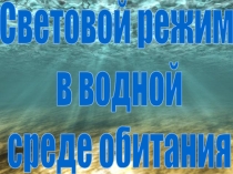 Презентация по биологии на тему: Световой режим в водной среде