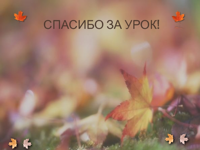 Презентация Бунин Листопад (4 класс) Спасибо за урок! Спасибо за урок!