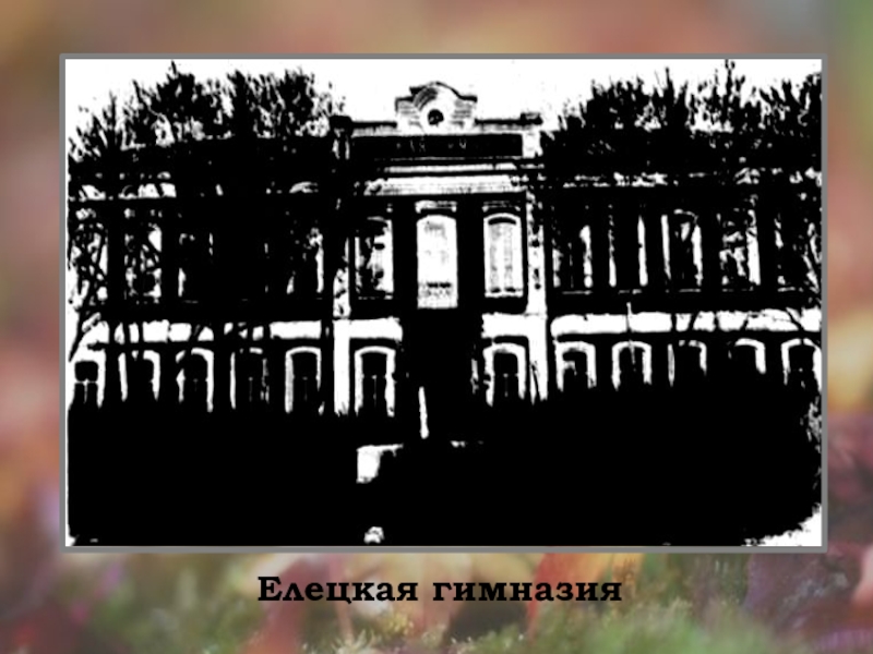 Презентация Бунин Листопад (4 класс) Елецкая гимназия Елецкая гимназия