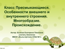 Презентация по биологии на тему Класс Пресмыкающиеся. Особенности внешнего и внутреннего строения. Многообразие. Происхождение.