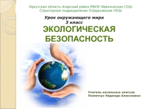 Презентация по окружающему миру 3 класс на тему Экологическая безопасность