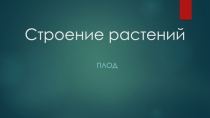 Презентация по ботанике на тему Плод