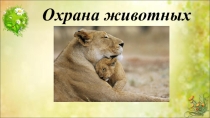 Презентация по окружающему миру по теме Охрана животных