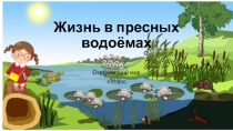 Презентация по окружающему миру на тему Жизнь в пресных водоёмах, 4 класс