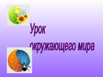 Презентация к уроку окружающего мира