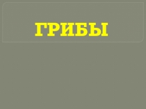 Презентация по биологии на тему:  Грибы (5 класс)