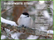 Презентация по окружающему миру Покормите птиц зимой!