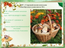 Презентация к уроку С лукошком за грибами