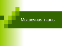 Презенация по биологии на тему Мышечная ткань (8 класс)