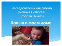 Презентация Исследовательская работа Кошка в моем доме