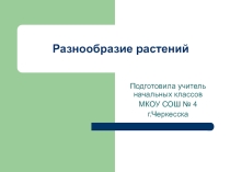 Презентация по окружающему миру Разнообразие растений 3 класс