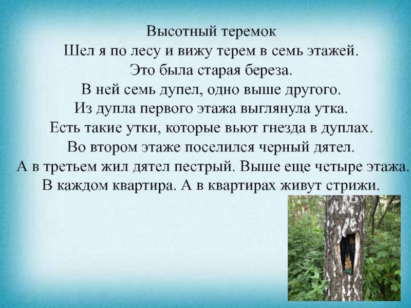 Презентация к уроку чтения Высотный теремокШел я по лесу и вижу терем в семь этажей. Высотный теремокШел я по лесу и вижу терем в семь этажей. Это была старая береза. В ней