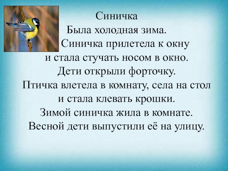 Презентация к уроку чтения СиничкаБыла холодная зима. Синичка прилетела к окну и стала стучать СиничкаБыла холодная зима. Синичка прилетела к окну и стала стучать носом в окно. Дети