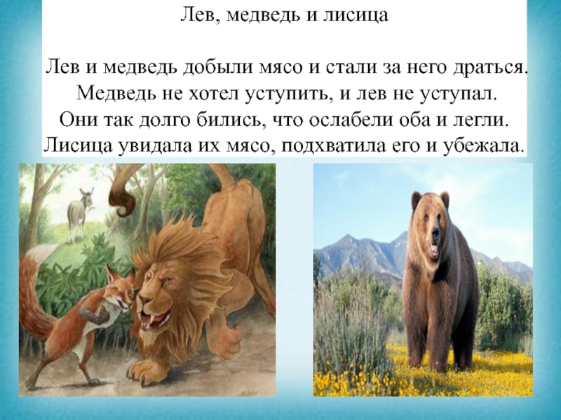 Презентация к уроку чтения Лев, медведь и лисица Лев и медведь добыли мясо и стали за Лев, медведь и лисица Лев и медведь добыли мясо и стали за него драться. Медведь не хотел уступить,