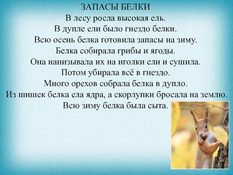 Презентация к уроку чтения ЗАПАСЫ БЕЛКИВ лесу росла высокая ель. В дупле ели было гнездо ЗАПАСЫ БЕЛКИВ лесу росла высокая ель. В дупле ели было гнездо белки. Всю осень белка готовила запасы