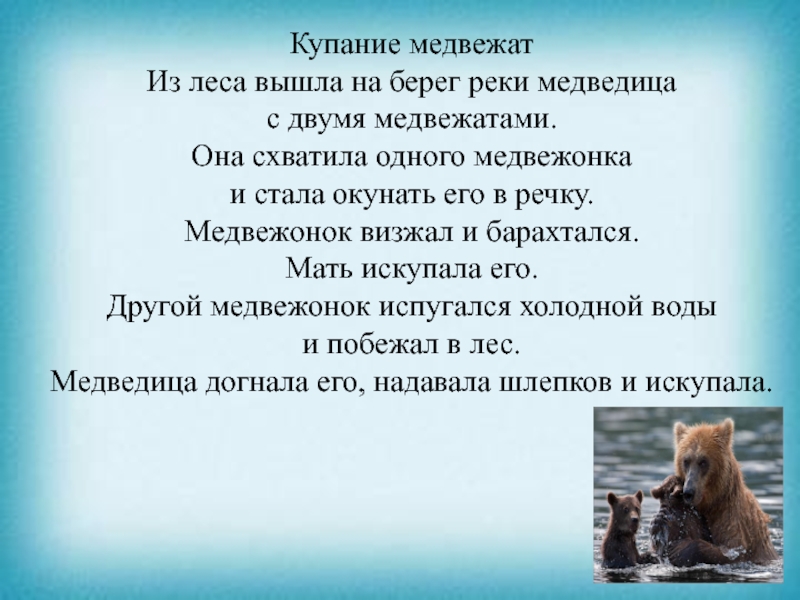 Презентация к уроку чтения Купание медвежатИз леса вышла на берег реки медведица с двумя медвежатами. Купание медвежатИз леса вышла на берег реки медведица с двумя медвежатами. Она схватила одного медвежонка и стала