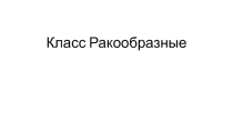 Презентация по теме класс Ракообразные