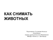 Презентация по фотокружку на тему Как снимать животных