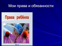 Презентация для классного часа на тему Мои права и обязанности