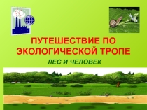 Презентация Путешествие по экологической тропе
