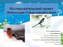 Исследовательский проект Зимующие птицы нашего края