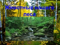 Презентация по окружающему миру для 1 класса Животные нашего леса