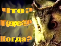 Интерактивная игра по информатике Что? Где? Когда?