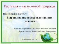 Детские проекты по теме Лук